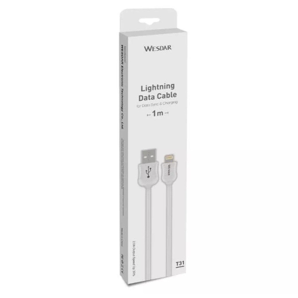 CABLE IPHONE T31 WESDAR